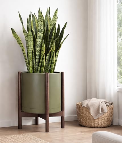 Plastic Pot with Walnut Wood Stand (Olive Pot + Walnut Color Stand / 16 Inch)