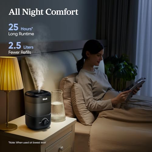 Humidifiers for Bedroom