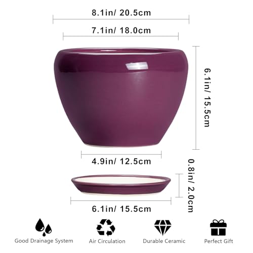 Ceramic Planter (8 Inch / Purple)