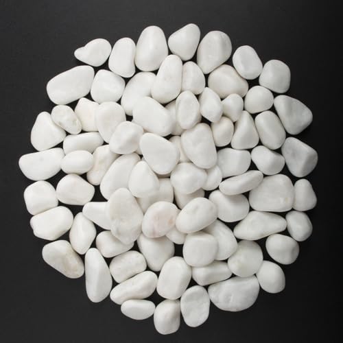 10 lbs White Polished Decorative Stones