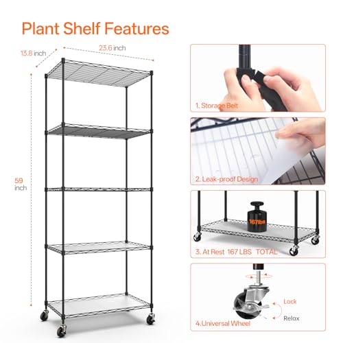 Plant Stand with Grow Light