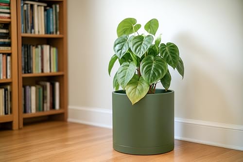 Plastic Planter Pot with Saucer (12 Inch / Olive)