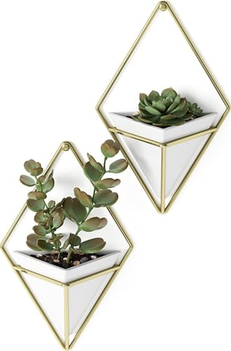 Trigg Hanging Planter for Small Plants (2 Count)