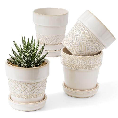 Succulent pots (4inch-beige / Large)