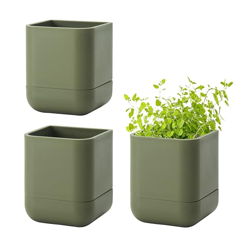 3.5 Inch Wall Mounted Self (3.5" (3 Pack) / Olive)