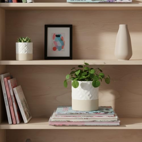 Self Watering Plant Pot for Indoor Plants (Matte White & Brown Star / 4.5"+6" Self Watering)