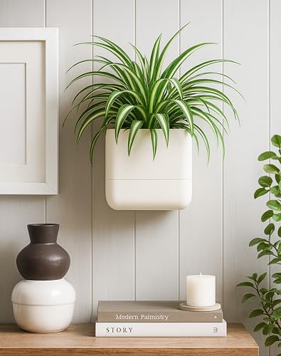 6.5 Inch Wall Mounted Self (6.5" (1 Pack) / Oatmeal)