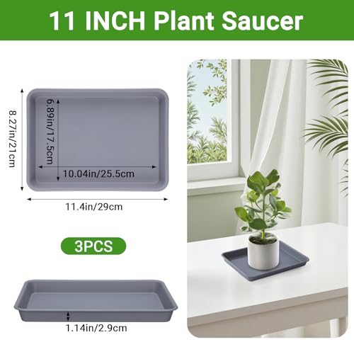 Grey Plastic Trays 11 Inch (11 Inch / Gray)