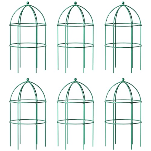 6 Pack Peony Cage (31.5"H x 15.7"W/6PC / Green)