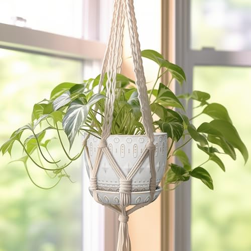 Ceramic Plant Pot