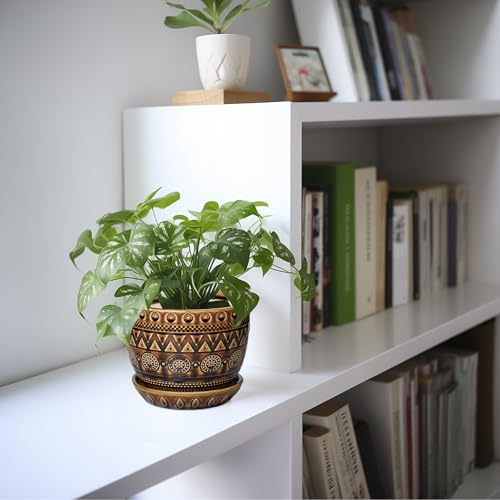 Ceramic Pot for Plants 5.5 Inch