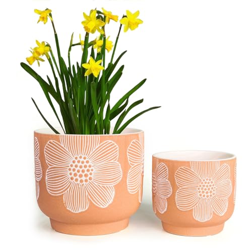 Ceramic Plant Pots (8+6 Inch / Modern Orange Floral)
