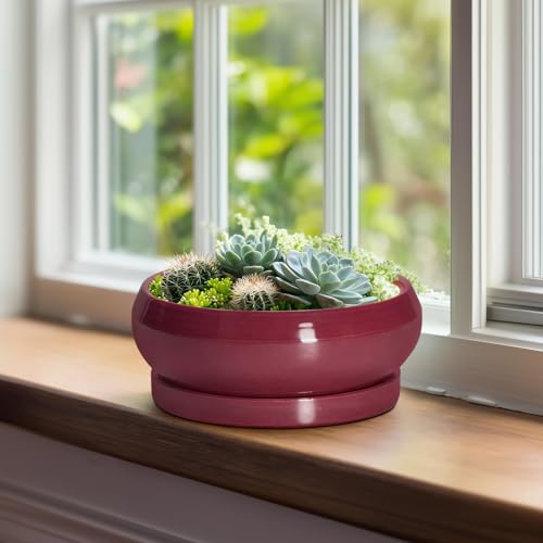 Succulent Pots (8 Inch / Wine Red)