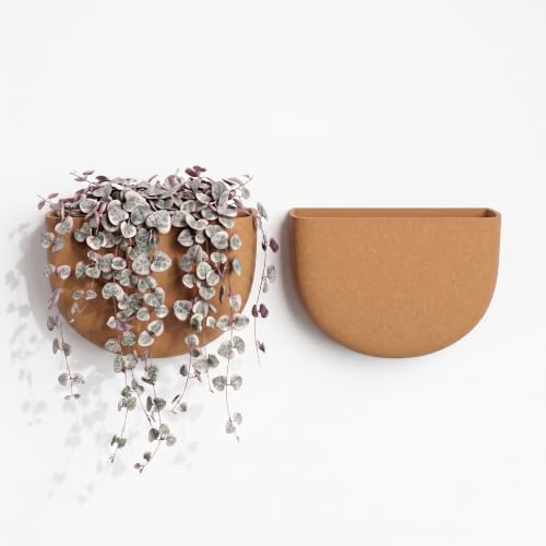 2 Pack Indoor Wall Planter (Terracotta)