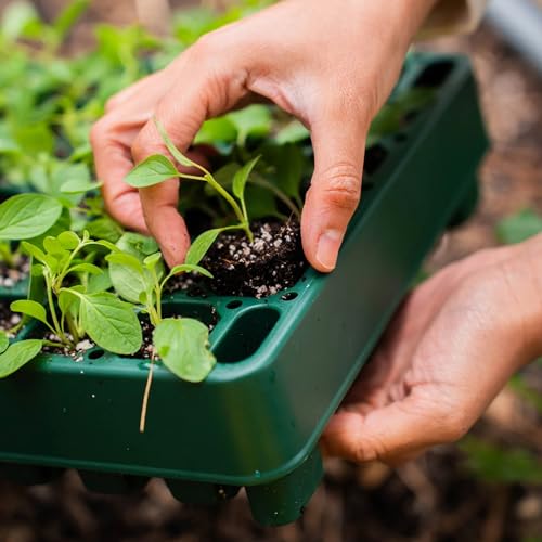 10" x 20" 76 Cells Seed Starter Tray Stackable Seedling Starting Germination Trays for Plants Planting Vegetables Herbs Flowers (4 Pack / 76 Cells Stackable Tray)