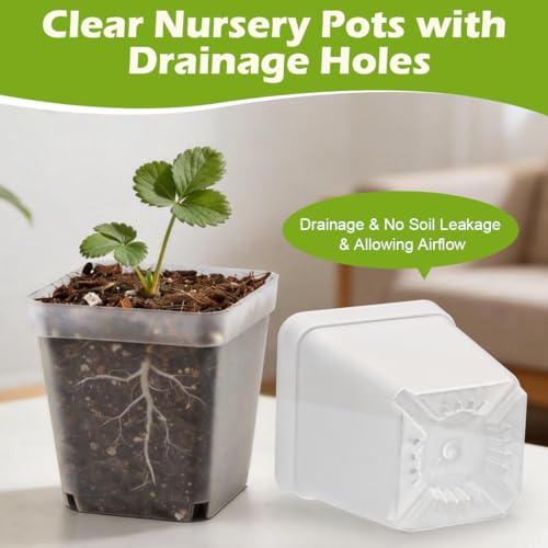 2.7 Inch Square Nursery Pots (Clear Pot+domes / 2.7" 60P)