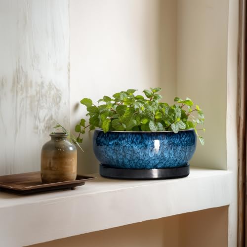 Bonsai Pots 8 Inch (8 Inch / Blue)