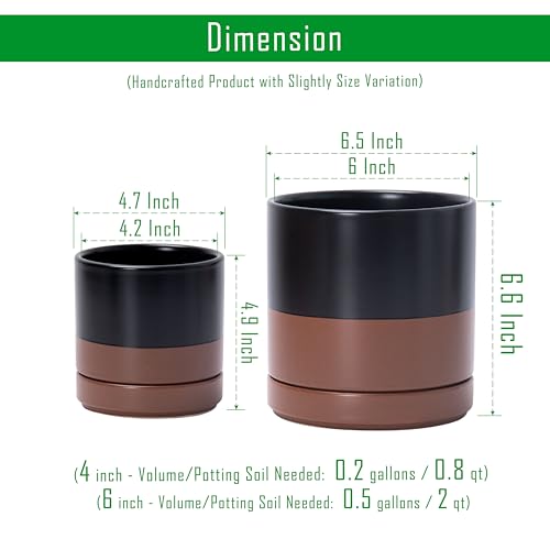 2 Pack Ceramic Pots with Saucers (2 Count)