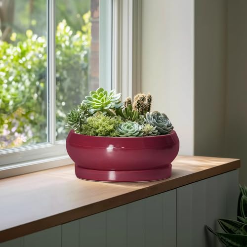 Bonsai Tree Pots 13 Inch (13 Inch / Wine Red)