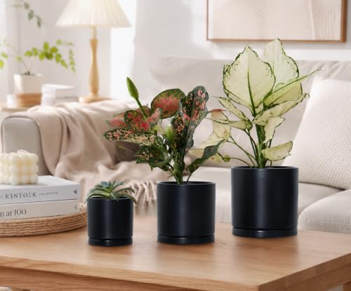 3 Pack Black Terracotta Pots & Saucers (4+5+6 Inch / Black)