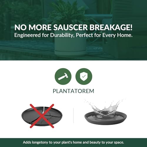 Ceramic 12 Inch Mid Modern Planter Pot with Drainage Hole and Saucer