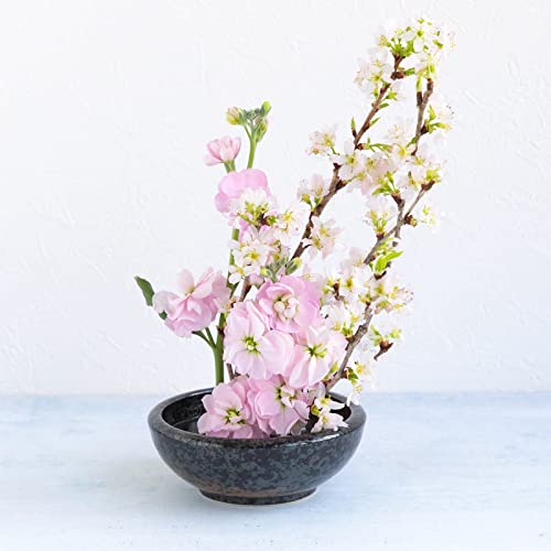 Minoyaki Series Small Round Glazed Ikebana Flower Vase (5.04 x 5.04 x 1.89 inches / Black With Brown White Brush)