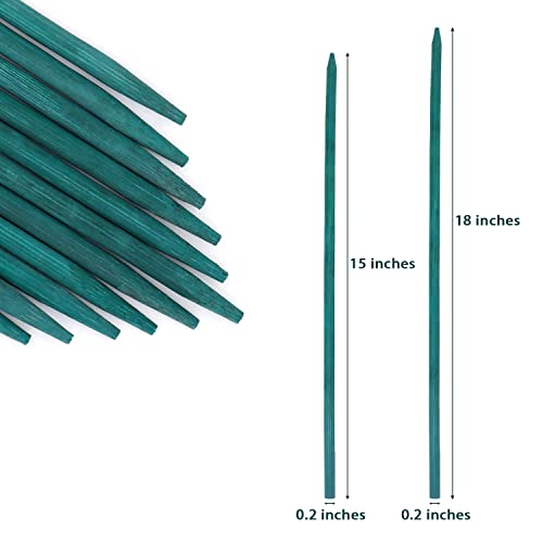 Green Bamboo Plant Stakes (25 Count)