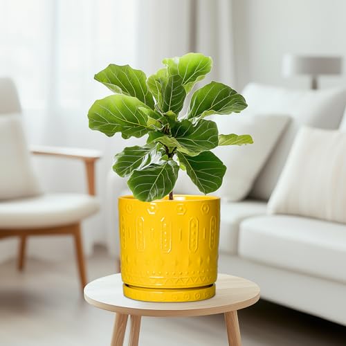 8 Inch Plant Pot (8 Inch / Yellow)