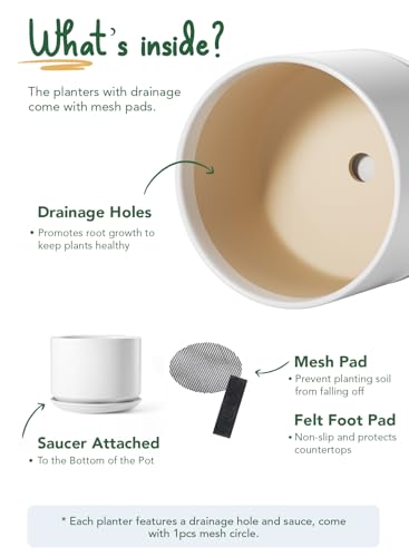 10 inch Plant Pot (White / 10")