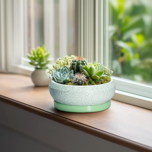 Succulent Pot 6 Inch (6 Inch / Bright Green-white)
