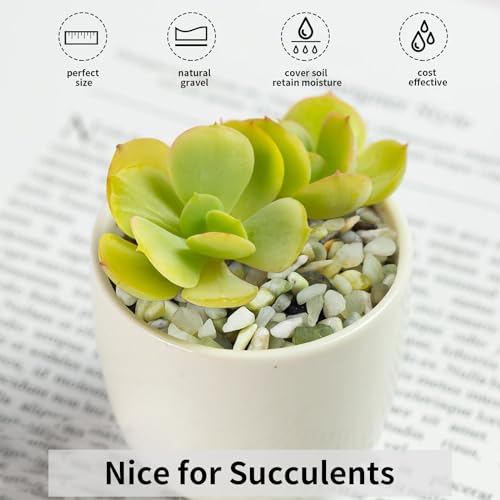 10 lbs Pebbles for Plants (160 Ounce)