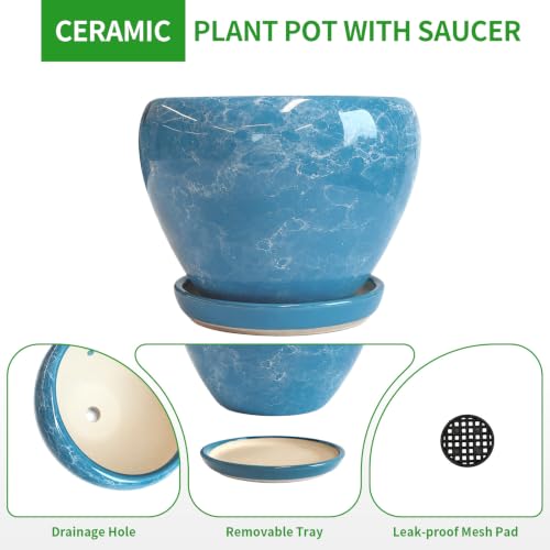 6 Inch Plant Pots (Gemstone Blue / 6 Inch)