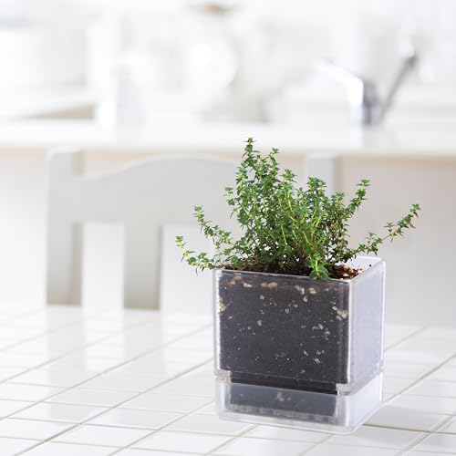 2 Pack Acrylic Herb Planter Pots (2 Count)