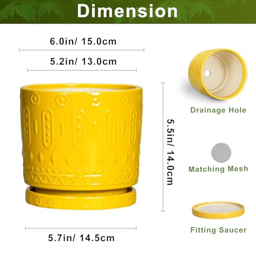 6 Inch Pots for Plants (6 Inch / Yellow)
