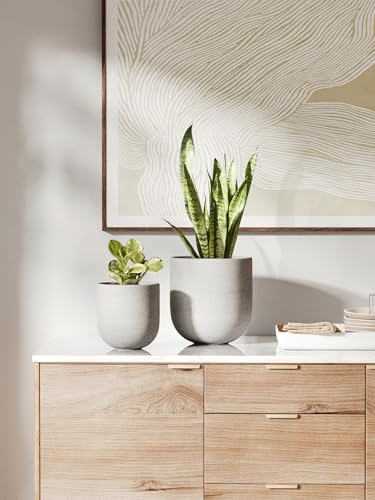 6 Inch Ceramic Plant Pot (Neutral Gray / 6 Inch)