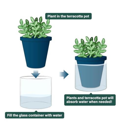 Self Watering Blue Terracotta Planter (2 Count)