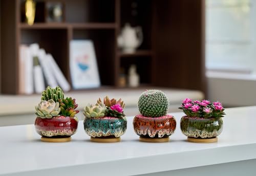 Cute Ceramic Succulent Garden Pots (Round+white Border)