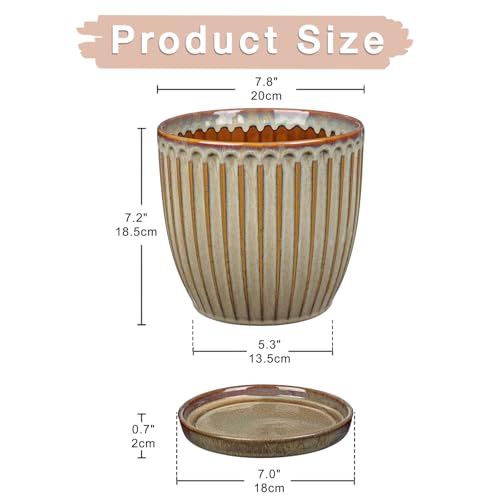 Ceramic Pots for Indoor Plants (Brown - Single 7.8" Pot)