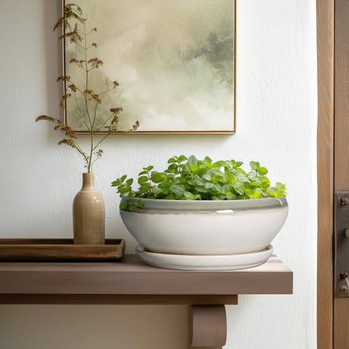 Bonsai Pots Ceramic (10 Inch / Grey-white)