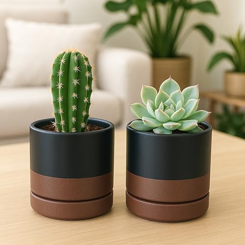 2 Pack Ceramic Pots with Saucers (2 Count)