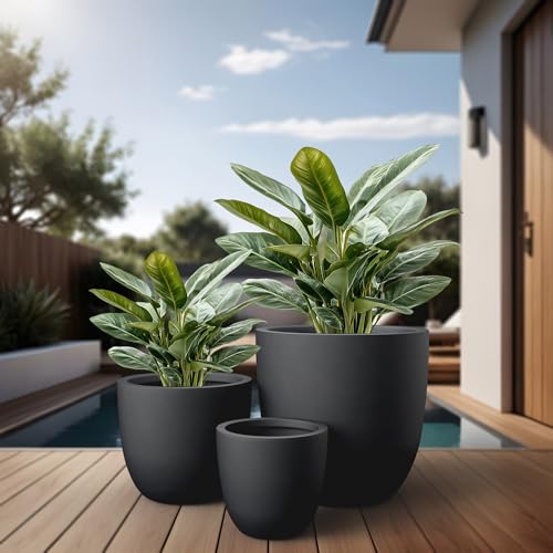 Set of 3 Black Concrete Bowl Round Planters for Modern Home (Black / Set of 3: 10/14/18-Inch Dia)