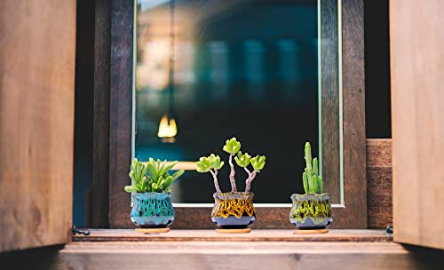 Cute Ceramic Succulent Garden Pots (Fambe)