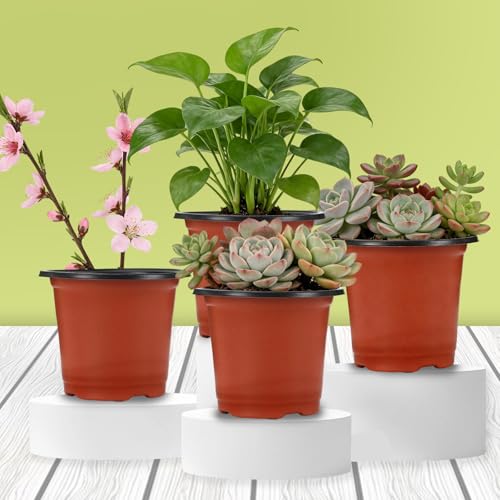 110 Pcs 3.5 Inches Plastic Plant Pots (3.5 Inch)