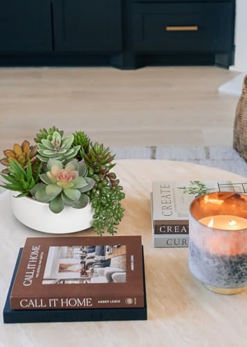 Artificial Succulent Plants in Pot 5.5 Inch Fake Succulents Arrangement (White Ceramic#style 2)