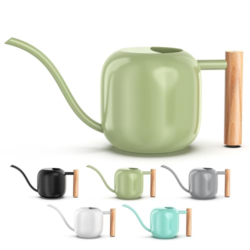1.2L 41oz Metal Metal Watering Can with Long Spout