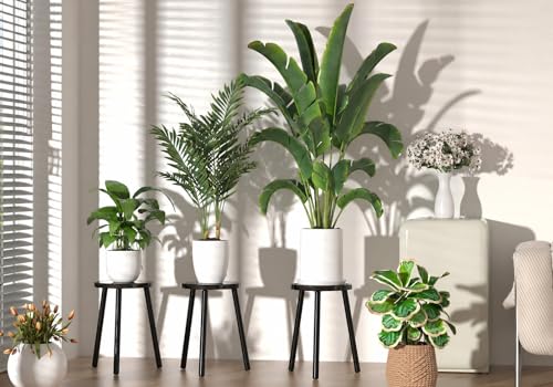 2 Pack Wood Plant Stands Indoor (Black / 2 Pack)