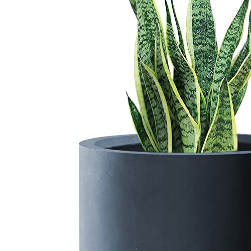 Accent Round Cylinder Charcoal Concrete Planter 12.6" Tall (Charcoal / 12.6" Dia)