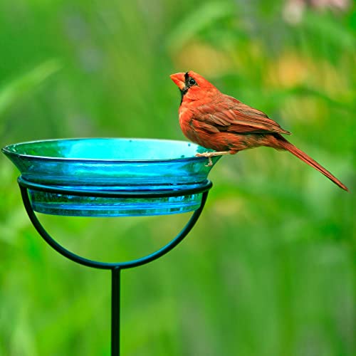Cuban Garden Bird Bath & Feeder Stake (Aqua Blue)