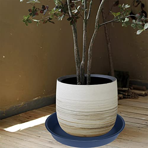 6 Pack of 12 inch Plant Saucer