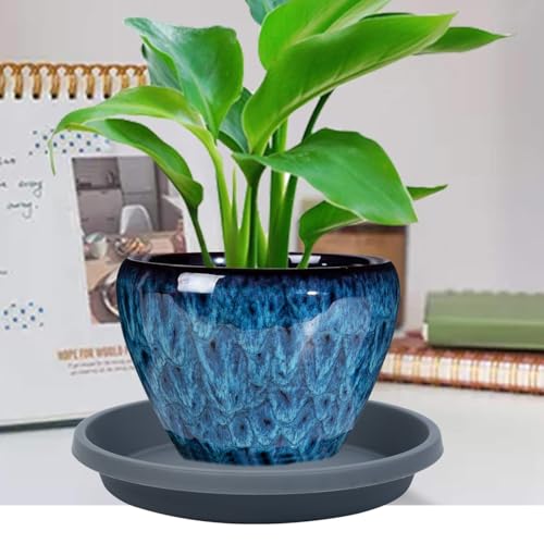 Plant Saucer 10 Inch 5 Pack Thickened Plastic Plant Saucers Drip Trays for Indoor Plants and Outdoor Pots (10" (5 Pack) / Gray)
